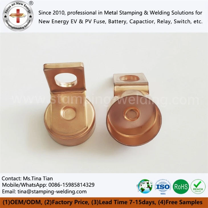 Specific Fuse Cap