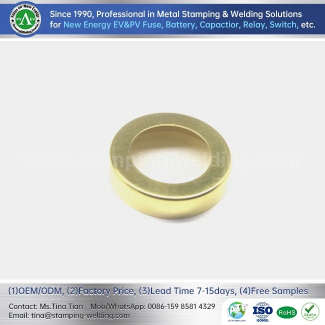 Electric Vehicle Fuse  Inner Brass Caps